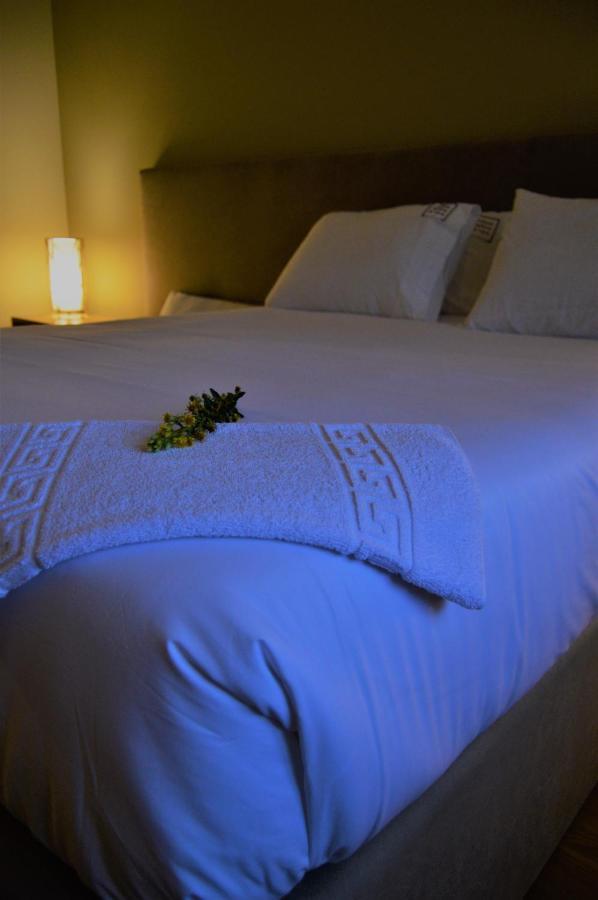 Villam Natura & Spa Vila Nova de Famalicão エクステリア 写真